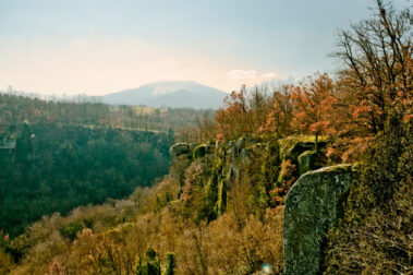 Soriano nel Cimino | Zona archeologica naturalistica del monte Cimino/la Faggeta